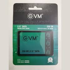 EVM 256GB SSD 2.5 SATA EVM